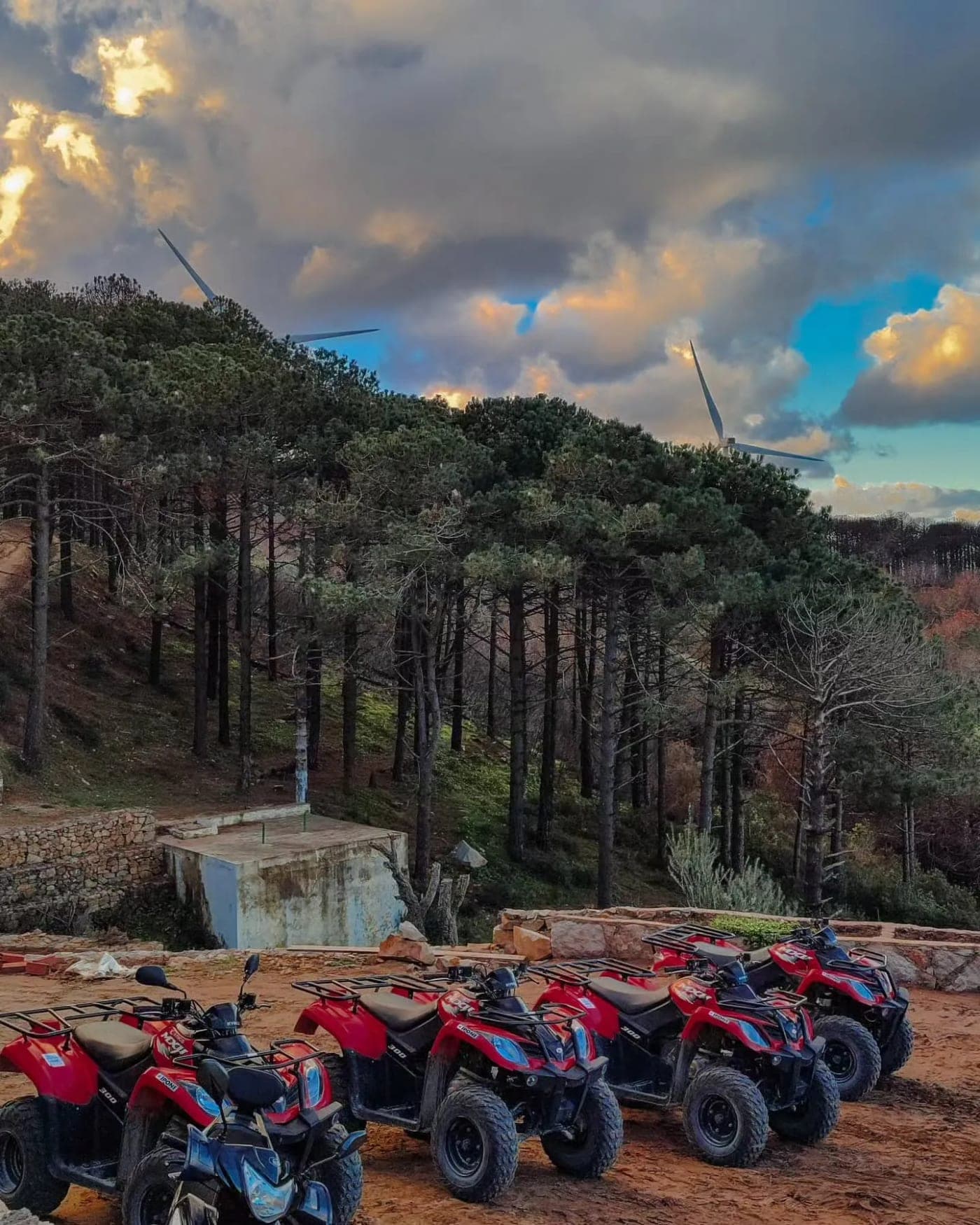 Quads alignés prêts pour le départ